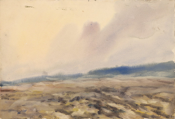 Zolo Palugyay – Oráčina 