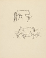 Ján Novák – S kravou 