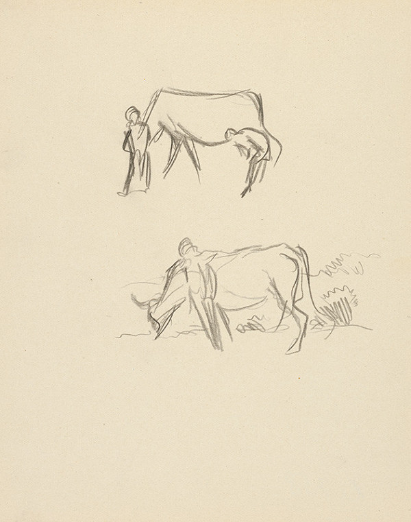 Ján Novák – S kravou 