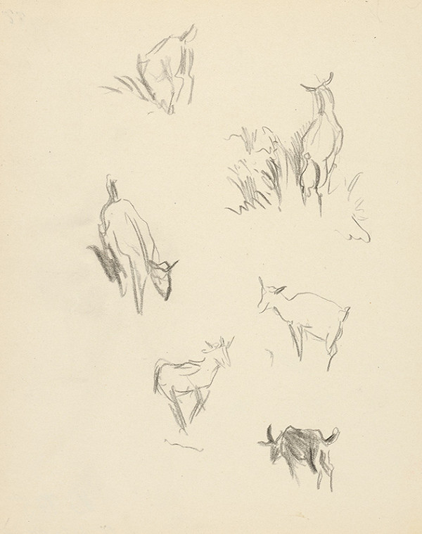 Ján Novák – Kozy 