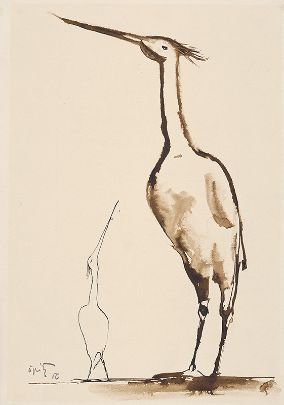 Ernest Špitz – Vodní vtáci 