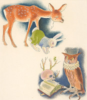 Fedor Klimáček – Cestovanie 