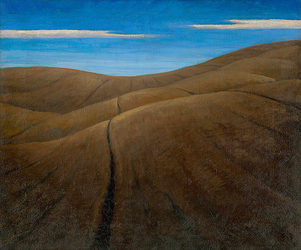 Edmund Gwerk – Zorané polia 