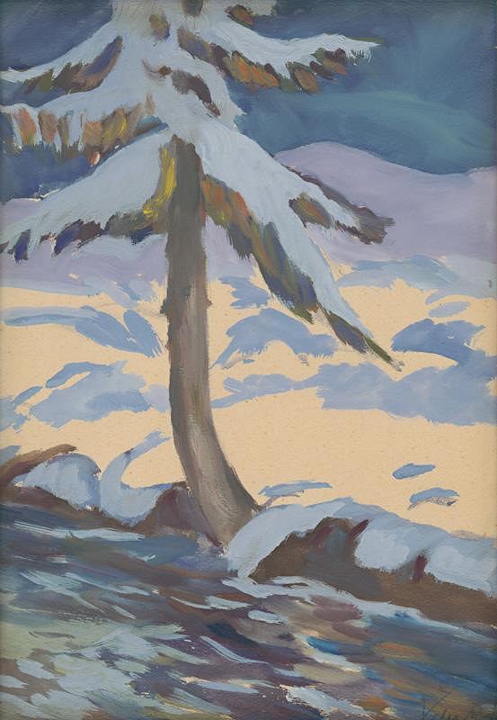 Zolo Palugyay – Strom v zime 