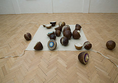 Miroslav Brooš – Plody papiera 