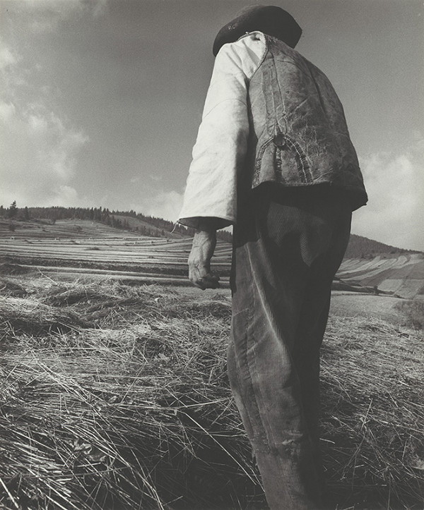 Martin Martinček – Roĺník 