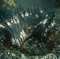 Martin Martinček – Vzdušná ulica č.56 