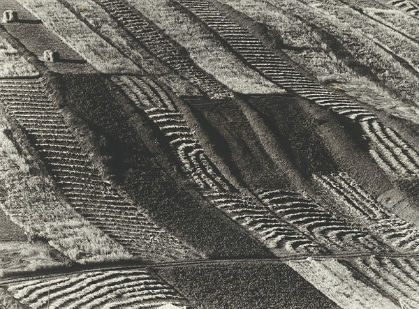 Martin Martinček – Žatva v Liptove 