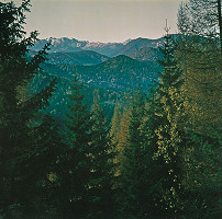 Martin Martinček – Vzdušná ulica č.56 