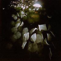 Martin Martinček – Chvála slnka 