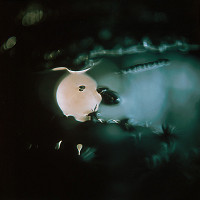 Martin Martinček – Chvála slnka 