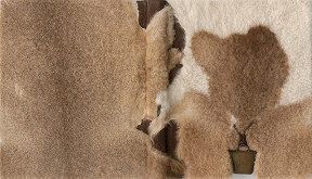 Jan Vrtílek – O. Nehera - Stredné Slovensko 