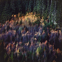 Martin Martinček – V krajine SNP 