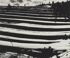 Martin Martinček – Kopnejúce horské polia 