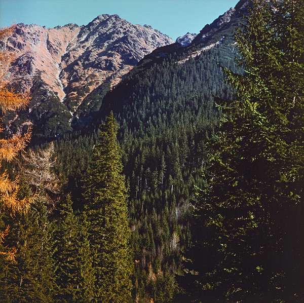 Martin Martinček – V krajine SNP XX. 