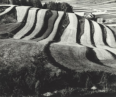 Martin Martinček – Jarné polia 