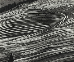 Martin Martinček – Polia pod horami 