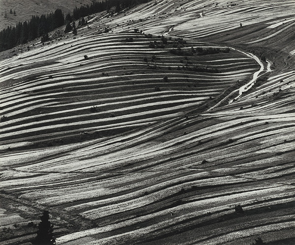 Martin Martinček – Polia pod horami 