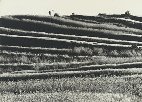 Martin Martinček – Dozrievanie 