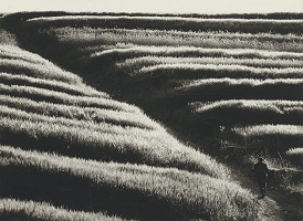 Martin Martinček – Pred žatvou 