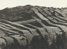 Martin Martinček – Horské polia 