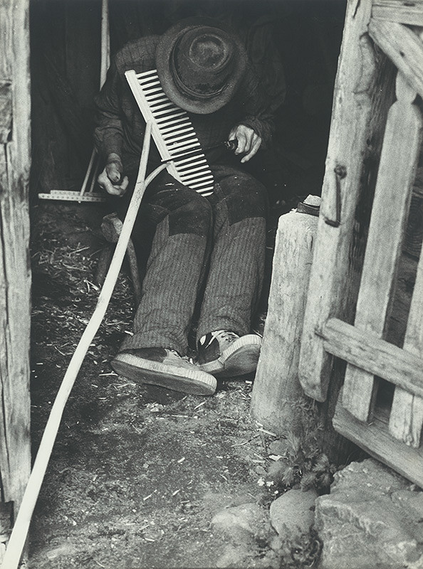 Martin Martinček – Nové hrable 