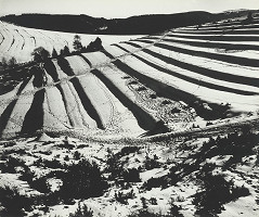 Martin Martinček – Predjarie II. 