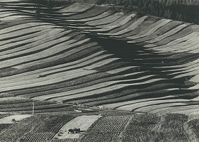 Martin Martinček – Horské polia 