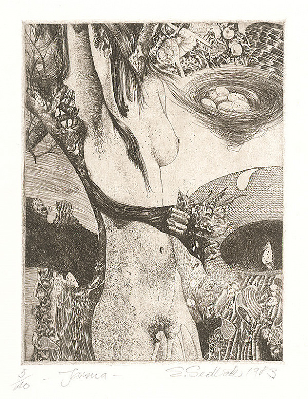 Emil Sedlák – Jarma I. 