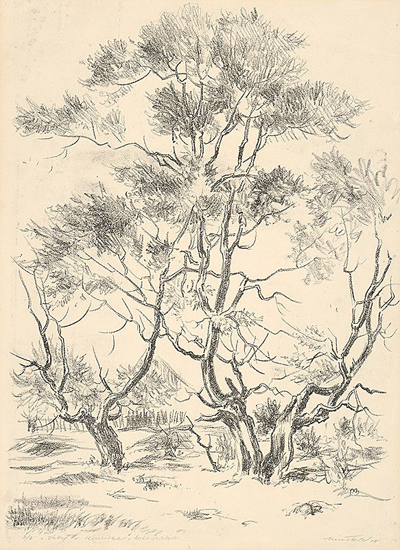 Július Muška – Vŕby v Haniske 