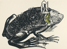 Igor Ďurišin – Pípa americká 