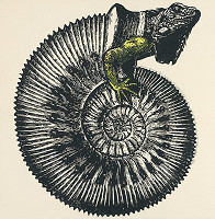 Igor Ďurišin – Leguán pozorujúci svet zo slimačej ulity 