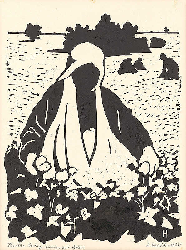 Štefan Hapák – Zberačka bavlny 