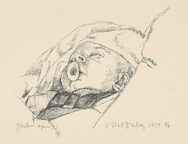 Orest Dubay – Jurko spí 