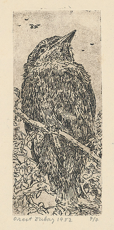 Orest Dubay – Vtáčik 