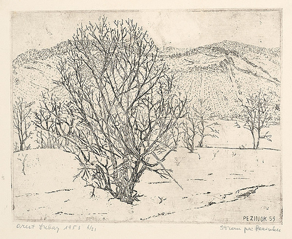 Orest Dubay – Strom pri Pezinku 