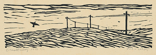 Orest Dubay – Vták a stĺpy 