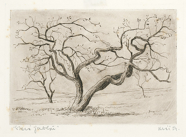 Fero Kráľ – Stará jabloň 