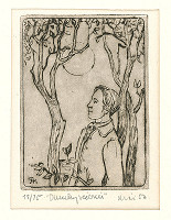 Fero Kráľ – Dumky večerní 