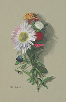 Maximilián Kurth – Jesenné kvety 