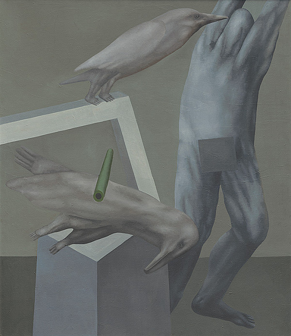 Agneša Sigetová – Vtáčkár 