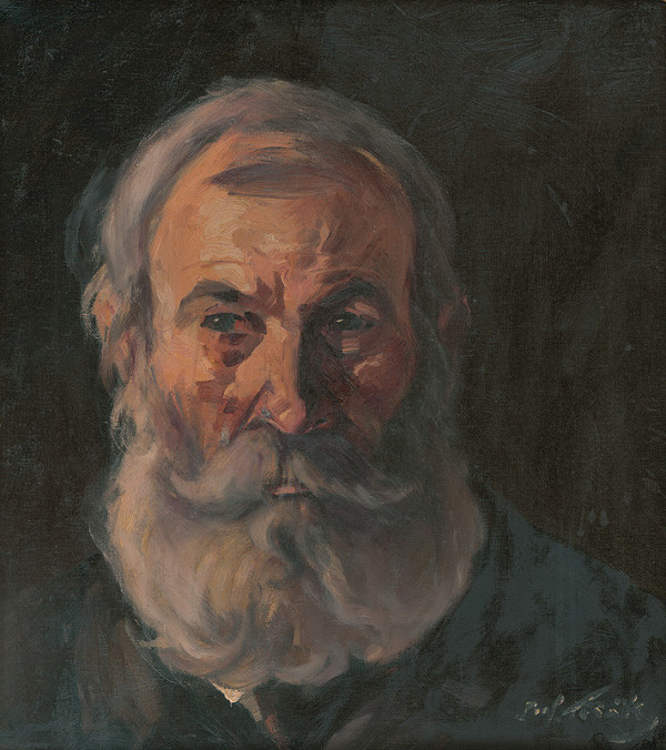 Július Török – Štúdia robotníka Pálmayho 