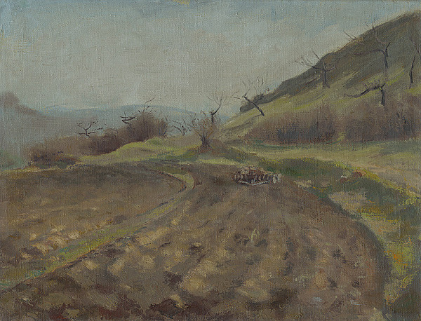 Štefan Hapák – Oráčina 