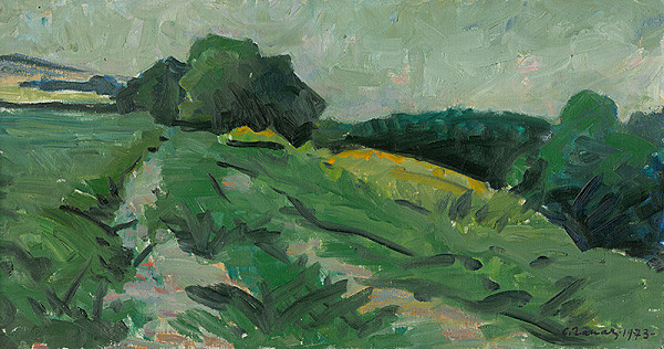 Štefan Hapák – Užský motív 