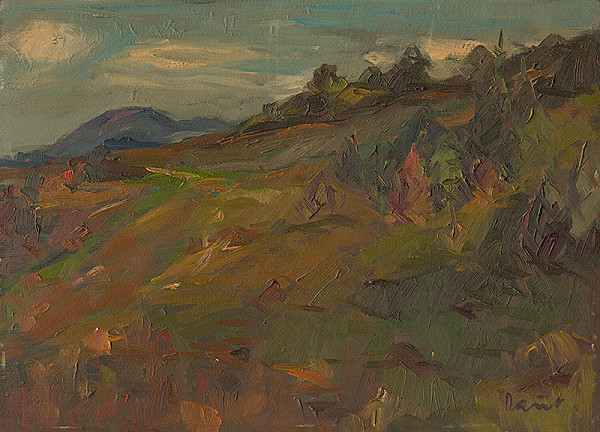 Juraj Daňo – Krajina za Solivarom 