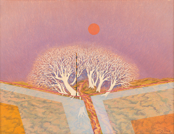 František Veselý – Vymedzenie terénu 