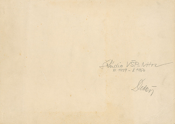 Vladimír Dedeček – Vysoká škola poľnohospodárska v Nitre. Album štúdii. Obal. 