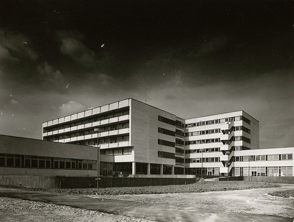 Viktor Uhliarik, Christo Tursunov, Rajmund Müller – Rehabilitačný ústav v Kováčovej. Celkový pohľad.  