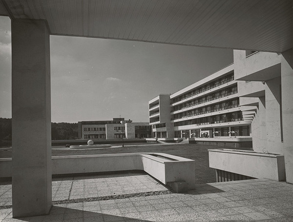 Viktor Uhliarik, Christo Tursunov, Rajmund Müller – Liečebný dom Sitno v Dudinciach. 