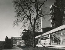 Jaroslav Vítek, Rajmund Müller – Liečebný ústav Choč v Lúčkach.  